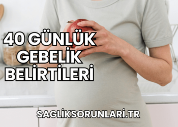 40 Günlük Gebelik Belirtileri