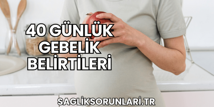 40 Günlük Gebelik Belirtileri