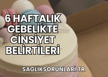 6 Haftalık Gebelikte Cinsiyet Belirtileri