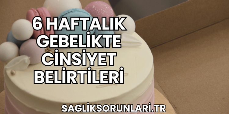 6 Haftalık Gebelikte Cinsiyet Belirtileri