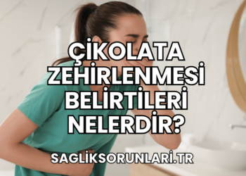 Çikolata Zehirlenmesi Belirtileri Nelerdir?