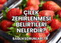Çilek Zehirlenmesi Belirtileri Nelerdir?