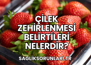 Çilek Zehirlenmesi Belirtileri Nelerdir?
