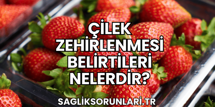 Çilek Zehirlenmesi Belirtileri Nelerdir?