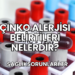 Çinko Alerjisi Belirtileri Nelerdir?