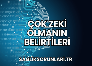 Çok Zeki Olmanın Belirtileri