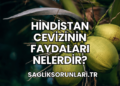 Hindistan Cevizinin Faydaları Nelerdir?