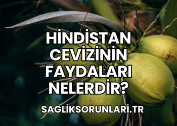 Hindistan Cevizinin Faydaları Nelerdir?
