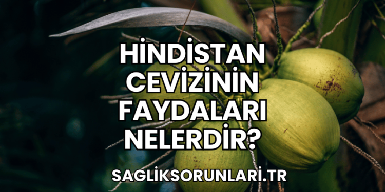 Hindistan Cevizinin Faydaları Nelerdir?