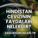 Hindistan Cevizinin Faydaları Nelerdir?