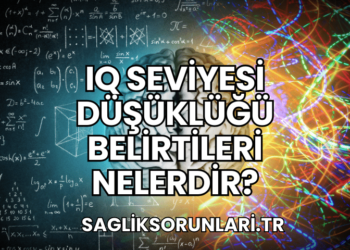 IQ Seviyesi Düşüklüğü Belirtileri Nelerdir?