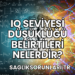 IQ Seviyesi Düşüklüğü Belirtileri Nelerdir?