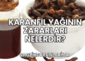 Karanfil Yağının Zararları Nelerdir?
