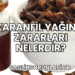 Karanfil Yağının Zararları Nelerdir?