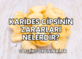 Karides Cipsinin Zararları Nelerdir?