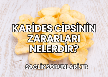 Karides Cipsinin Zararları Nelerdir?