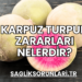 Karpuz Turpun Zararları Nelerdir?