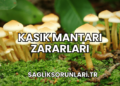 Kasık Mantarı Zararları