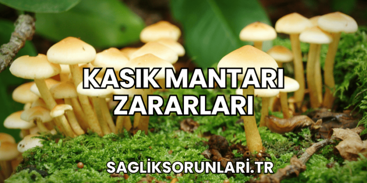 Kasık Mantarı Zararları