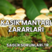 Kasık Mantarı Zararları