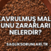 Kavrulmuş Malt Unu Zararları Nelerdir?
