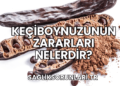Keçiboynuzunun Zararları Nelerdir?