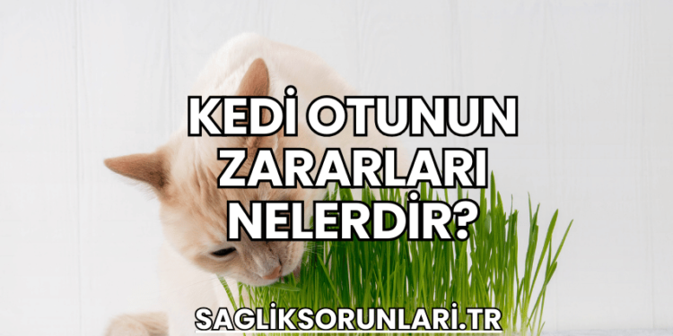 Kedi Otunun Zararları Nelerdir?