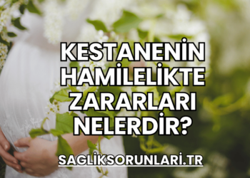 Kestanenin Hamilelikte Zararları Nelerdir?