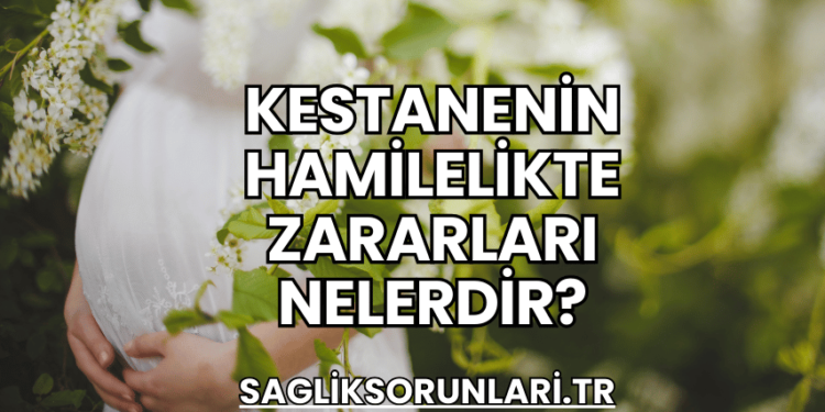 Kestanenin Hamilelikte Zararları Nelerdir?