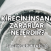 Kirecin İnsana Zararları Nelerdir?