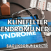 Klinefelter Sendromu Nedir?