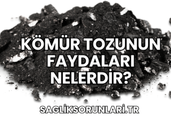 Kömür Tozunun Faydaları Nelerdir?