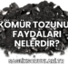 Kömür Tozunun Faydaları Nelerdir?