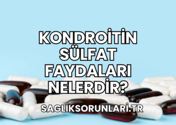Kondroitin Sülfat Faydaları Nelerdir?