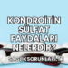 Kondroitin Sülfat Faydaları Nelerdir?