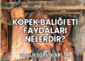 Köpek Balığı Eti Faydaları Nelerdir?