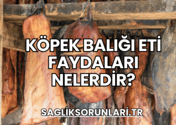 Köpek Balığı Eti Faydaları Nelerdir?