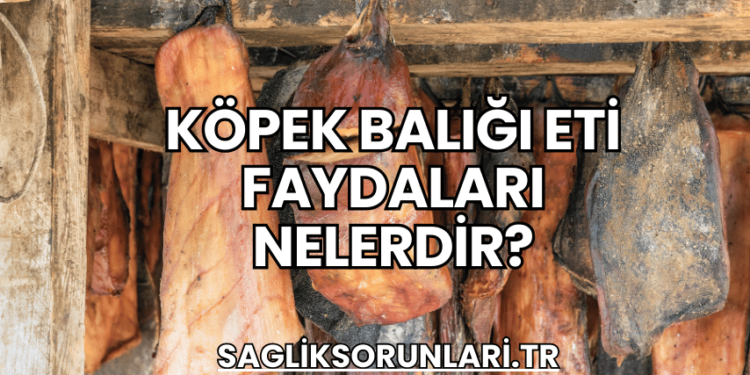 Köpek Balığı Eti Faydaları Nelerdir?