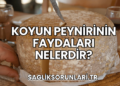 Koyun Peynirinin Faydaları Nelerdir?