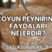 Koyun Peynirinin Faydaları Nelerdir?