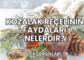 Kozalak Reçelinin Faydaları Nelerdir?