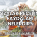 Kozalak Reçelinin Faydaları Nelerdir?