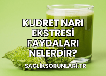 Kudret Narı Ekstresi Faydaları Nelerdir?