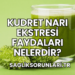 Kudret Narı Ekstresi Faydaları Nelerdir?