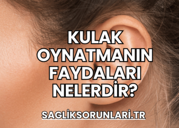 Kulak Oynatmanın Faydaları Nelerdir?