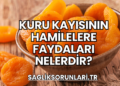 Kuru Kayısının Hamilelere Faydaları Nelerdir?