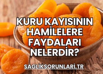 Kuru Kayısının Hamilelere Faydaları Nelerdir?