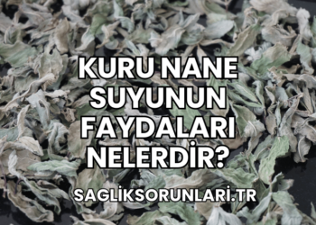 Kuru Nane Suyunun Faydaları Nelerdir?