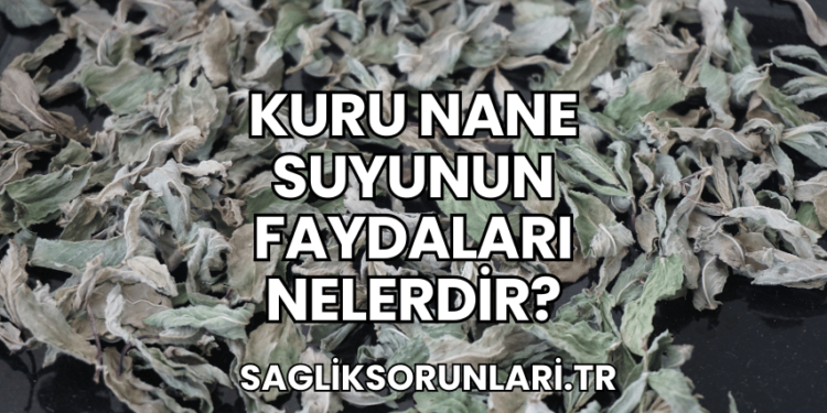Kuru Nane Suyunun Faydaları Nelerdir?