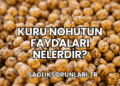 Kuru Nohutun Faydaları Nelerdir?
